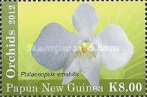 Phalaenopsis amabilis