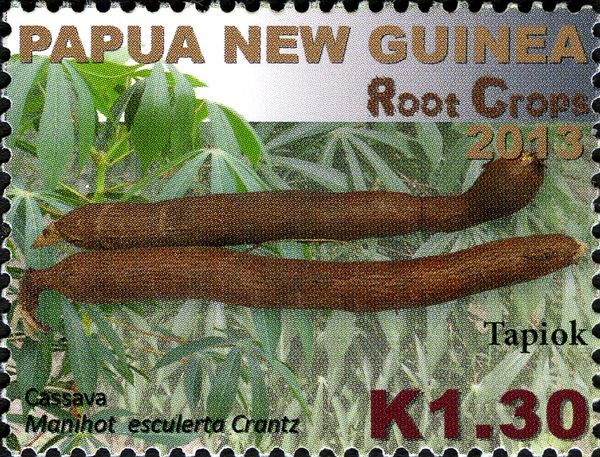 Cassava (Manihot esculerta)