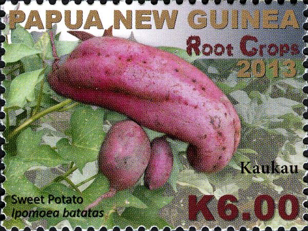 Sweet Potato (Ipomoea batatas)