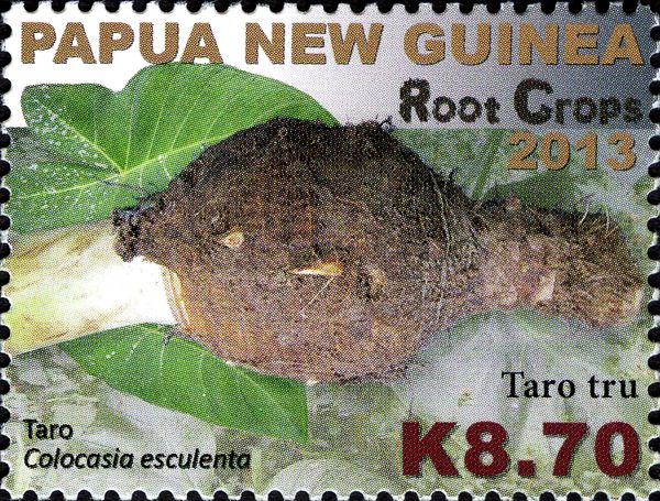 Taro (Colocasia esculenta)