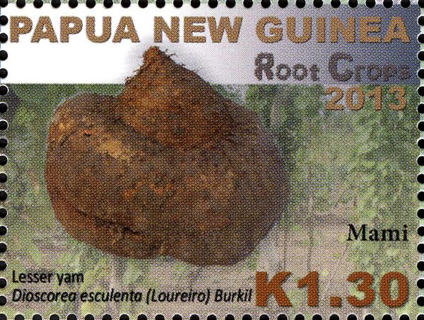 Lesser Yam (Dioscorea esculenta)