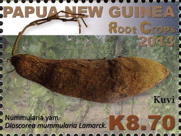 Nummularia yam (Dioscorea nummularia)