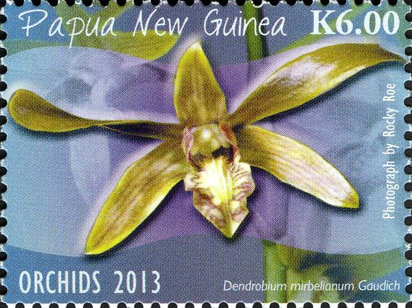 Dendrobium mirbelianum