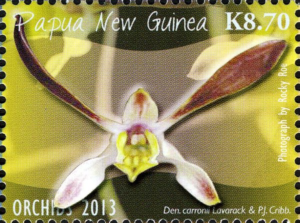 Dendrobium carronii