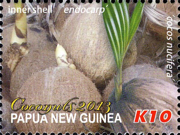 Coconuts with new leaves