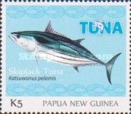 Skipjack Tuna (Katsuwonus pelamis)