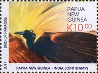 Raggiana Bird of Paradise (Paradisaea raggiana)