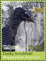 Birdpex 2018 Luxembourg (1)