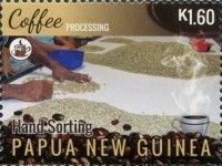 Sorting Coffee Beans
