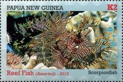 Merlet's Scorpionfish (Rhinopias aphanes)