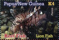 Lion Fish