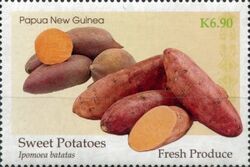 Sweet Potato