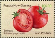 Tomato