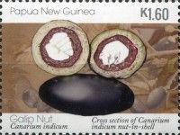 Cross Section of Nut