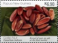 Galip Nut Kernels