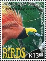 Raggiana Bird-of-Paradise (Paradisaea raggiana) (2)