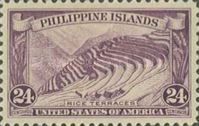 Rice terraces
