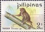 Philippine Tarsier (Carlito syrichta)