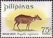 Philippine Mouse Deer (Tragulus nigricans)