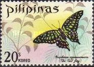 Tailed Jay (Graphium agamemnon)