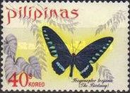 Palawan Birdwing (Trogonoptera trojana)