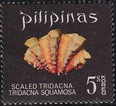 Scaled Tridacna (Tridacna squamosa)