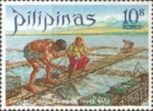 Cultured Pearl Diving in Davao Gulf