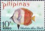 Klein's Butterflyfish (Chaetodon kleini)