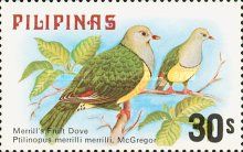 Merrill's Fruit Dove (Ptilinopus merrilli)