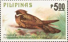 Great Eared-nightjar (Lyncornis macrotis)