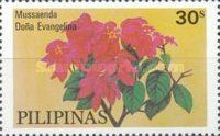 Mussaenda Doña Evangelina