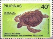 Green Turtle (Chelonia Midas)