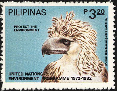 Philippine eagle (Pithecophaga jefferyi)