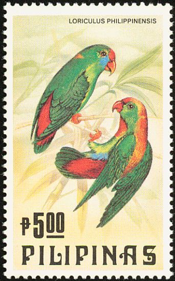 Philippine Hanging Parrot (Loriculus philippensis)
