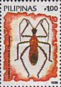 Assassin Bug
