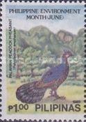 Palawan Peacock-pheasant (Polyplectron emphanum)