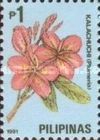 Pink Plumeria