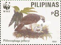 Philippine Eagle (Pithecophaga jefferyi)