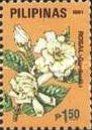 Gardenia