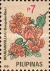 Orange bougainvillea