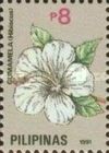White hibiscus