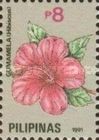 Pink hibiscus
