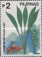 Luyang Dilaw (Curcuma longa)