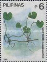 Takip-Kuhol (Centella asiatica)