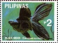Black Moor (Carassius auratus auratus)