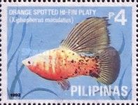 Orange-spotted Hi-fin Platy (Xiphophorus maculatus)