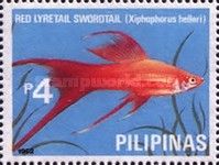 Red Lyretail Swordtail (Xiphophorus helleri)