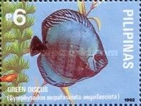 Green Discus (Symphysodon aequifasciata)