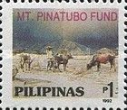 Mt Pinatubo Fund- Cattle in ash-covered field