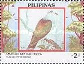 Mindoro Imperial-pigeon (Ducula mindorensis)